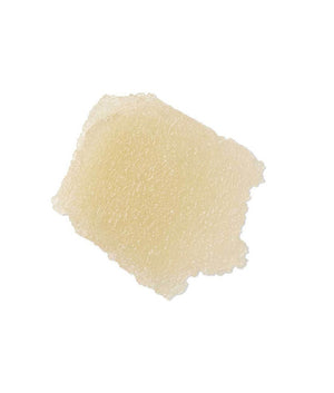 Evolve Beauty Tropical Blossom Body Polish - Plastic Freedom