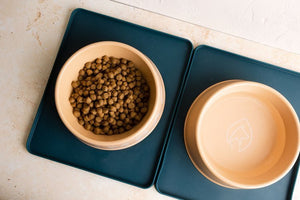 Pet Impact Bamboo Fibre Bowl & Base Mat - Plastic Freedom