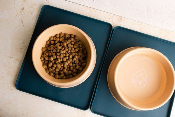 Pet Impact Bamboo Fibre Bowl & Base Mat - Plastic Freedom