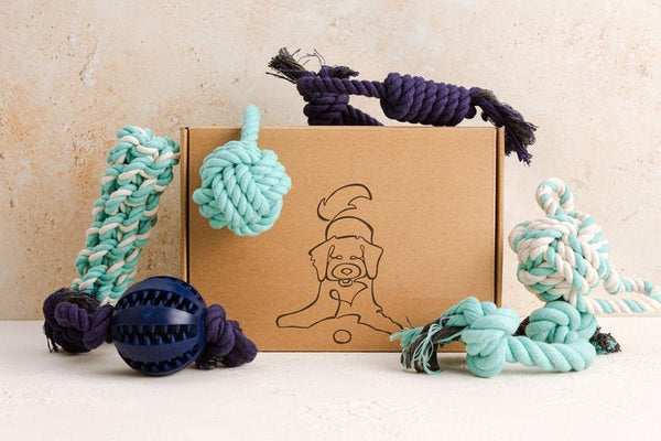 Pet Impact Learn The Ropes - Puppy Rope Toy Set - Plastic Freedom