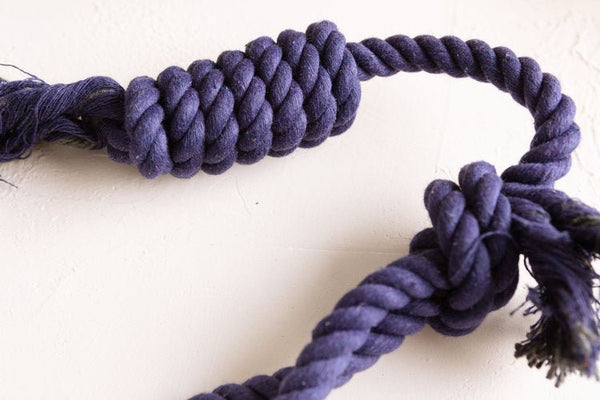 Pet Impact Learn The Ropes - Puppy Rope Toy Set - Plastic Freedom