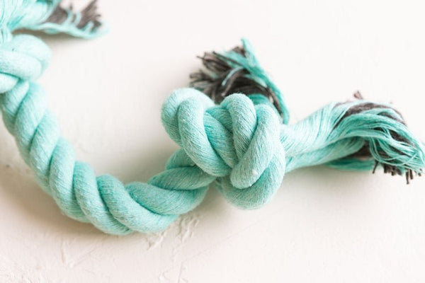 Pet Impact Learn The Ropes - Puppy Rope Toy Set - Plastic Freedom
