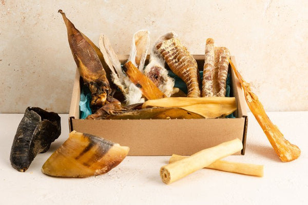 Pet Impact Plastic Free Dog Treats - Cool Climate Chews - Plastic Freedom