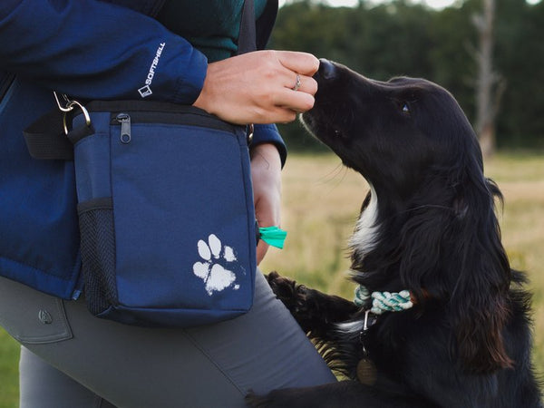 Pet Impact Recycled Treat & Walking Bag - Plastic Freedom