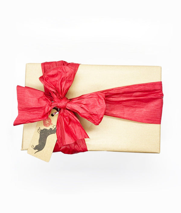 Plastic Freedom Christmas Gift Wrap - Plastic Freedom