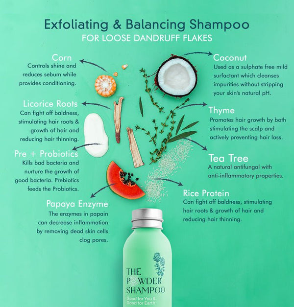 The Powder Shampoo - For Dandruff - Plastic Freedom