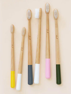 Truthbrush Bamboo Toothbrush - Bulk Buy - Plastic Freedom