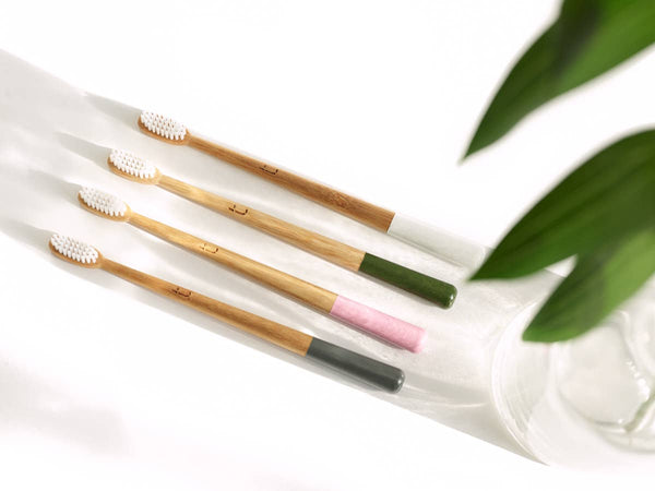 Truthbrush Bamboo Toothbrush - Year Supply - Plastic Freedom