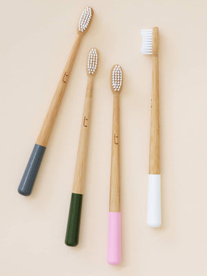 Truthbrush Bamboo Toothbrush - Year Supply - Plastic Freedom