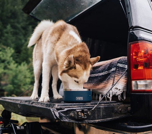 YETI BOOMER™ Dog Bowl - Plastic Freedom