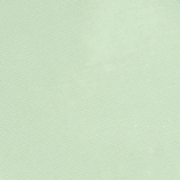 Zao Matt Eyeshadow - Plastic Freedom